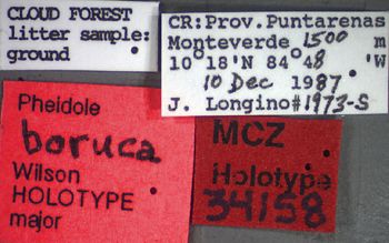 Media type: image;   Entomology 34158 Aspect: labels